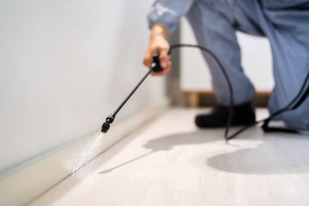 Licensed Termite Control service in Campbell, CA - Nex Pest Control