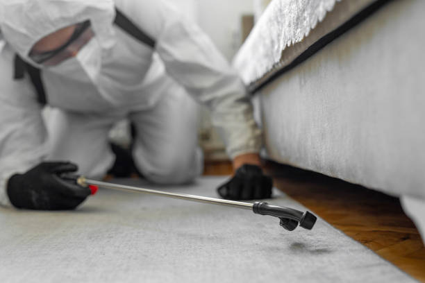 Professional Termite Control technician working in Campbell, CA