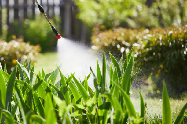 24/7 Emergency Termite Control experts in Campbell, CA