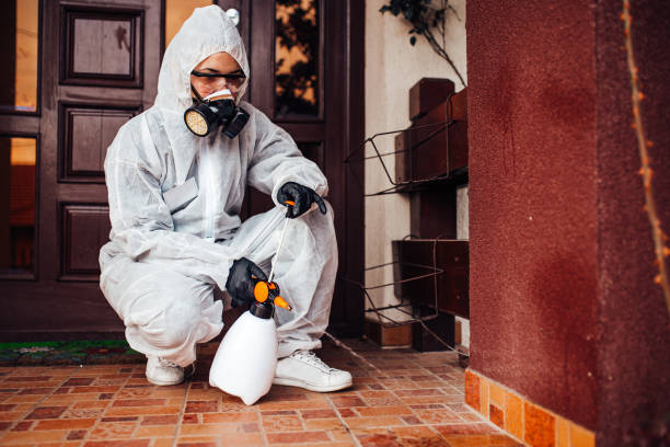 Reliable Termite Control contractor in Campbell, CA by Nex Pest Control