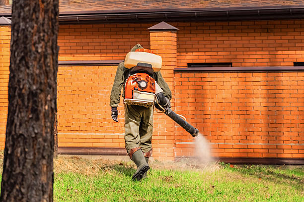 Top rated local Termite Control specialists in Campbell, CA